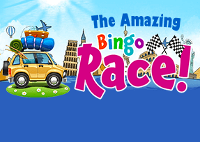 The Amazing Bingo Race!